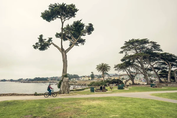 Monterey Kalifornien Usa Oktober 2022 Park Und Strand Von Lovers — Stockfoto