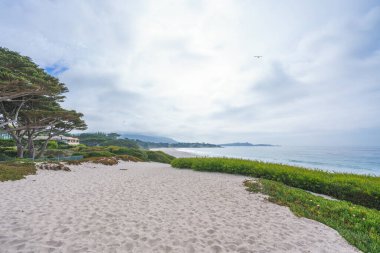 Carmel plajı, uzun, geniş, beyaz bir kumsal. Carmel Sahili, Kaliforniya 'nın en ikonik yerlerinden biridir.