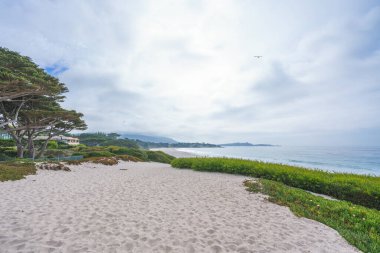 Carmel beach,  a long, wide, white sand beach. Carmel Beach is one of the most iconic spots on California's Central Coast clipart