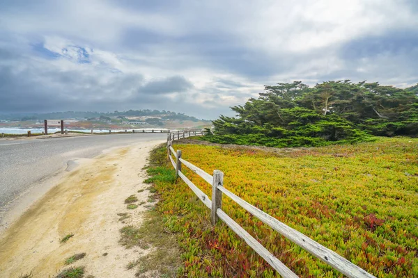 Ruta Panorámica Mile Drive Través Pacific Grove Pebble Beach Monterey — Foto de Stock