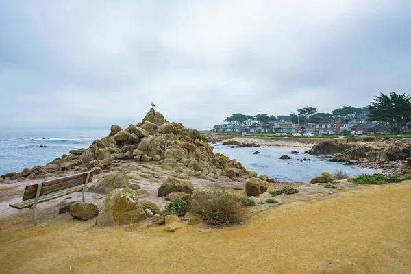 Μοντερέι Κάουντι Καλιφόρνια Ηπα Οκτωβρίου 2022 Παραλία Monterey Bay Βραχώδης — Φωτογραφία Αρχείου