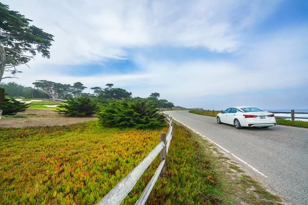 Monterey California Octubre 2022 Ruta Panorámica Mile Drive Través Pacific — Foto de Stock