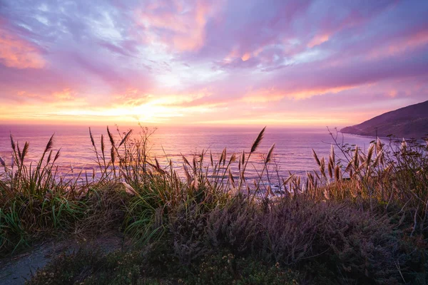 A beautiful pink sunset on the Big Sur coastline of California Central Coast. Colorful cloudy sky, quiet Pacific ocean, and native California\'s plants on the beach in golden sunlight