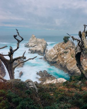 Point Lobos Eyaleti Doğal Rezervi. Rocky plajı, selvi ormanı ve Pasifik Okyanusu, Kaliforniya Merkez Sahili