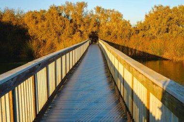 Göl ve gün batımında gölde uzun tahta kaldırım. Bataklık bitkileri, çalılar ve sonbahar ormanı, Kaliforniya