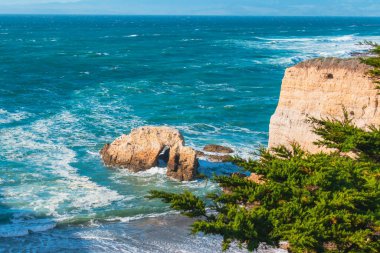 Kayalık kayalıklar, okyanus manzarası, ve California yerli ormanı, Montana de Oro Bluff patikasından inanılmaz manzara, California