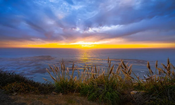 太平洋の美しい夕日 ビッグサー カリフォルニア中央海岸 曇りの空 静かな水 黄金の太陽の下でのネイティブ植物 — ストック写真