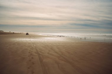 Geniş kumlu plaj, araba ve yürüyen insanların siluetleri. Pasifik Okyanusu ve arka planda bulutlu gökyüzü. Oceano, Kaliforniya Merkez Sahili