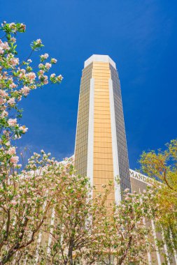 Las Vegas, Nevada, ABD... 5 Mayıs 2022. Mandalay Körfezi göz alıcı mimarisi. Lüks otelde yerden tavana kadar 24 ayar altın kaplı optik ince katman püskürtülmüş pencereler bulunuyor..