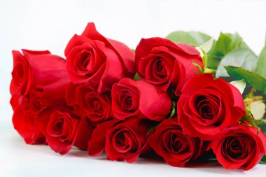Red roses bouquet close-up on a white background with copy space for the text
