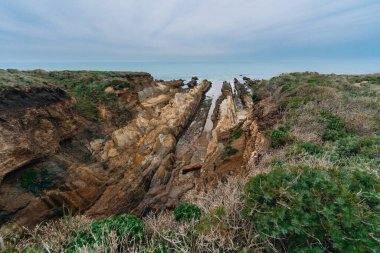 Kaliforniya kıyı şeridi manzarası. Kayalık kayalıklar ve sahildeki yerel bitkiler, Montana de Oro Eyalet Parkı, kasvetli bulutlu bir gün, California Merkez Sahili