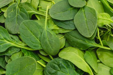 Bebek ıspanak yaprakları, tam şöhret.