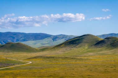 Soda Gölü 'nde süperçiçek. Orta Kaliforniya 'daki Carrizo Ovası Ulusal Anıtı, süper kır çiçeklerinin açtığı sarı, turuncu ve mor renklerle kaplıdır.