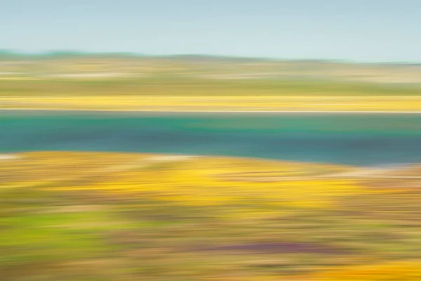 Lakeshore Och Vilda Blommor Super Blomma Abstrakt Blommig Bakgrund Rörelse — Stockfoto