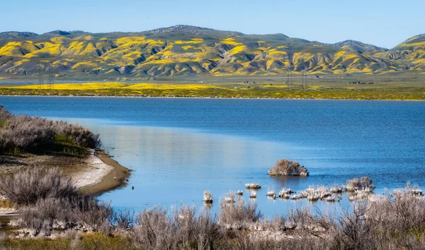 在加利福尼亚州中部的卡里佐平原名胜古迹 苏达湖盛满了水 野花盛开 — 图库照片