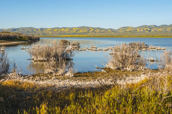 Soda Lake 캘리포니아 남부에서 알칼리 습지이다 않아서 소금을 농축하여 침전물 — 스톡 사진