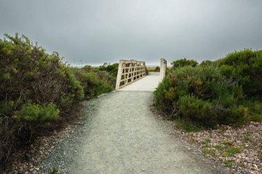 Montana de Oro Bluff yolu, Kaliforniya kıyısı