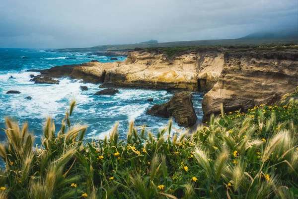 Rotsachtige Kliffen Stille Oceaan Inheemse Planten Het Strand Montana Oro — Stockfoto
