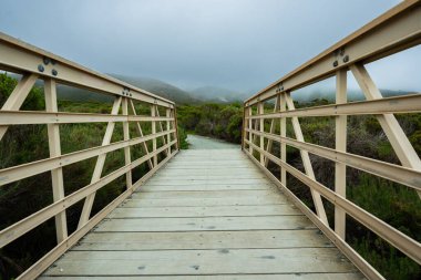 Montana de Oro Eyalet Parkı, Kaliforniya Merkez Sahili 'ndeki vahşi doğaya ve ormanın içinden geçen kırsal bir sahil yolu.