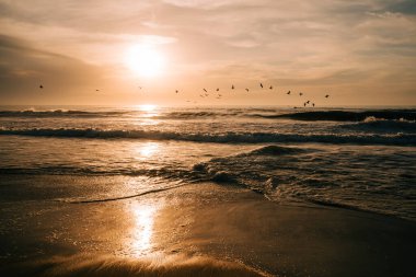 Golden sunset over the Pcific ocean. Sun setting down the horizon, silhouette of flying birds. Beautiful tranquil seascape