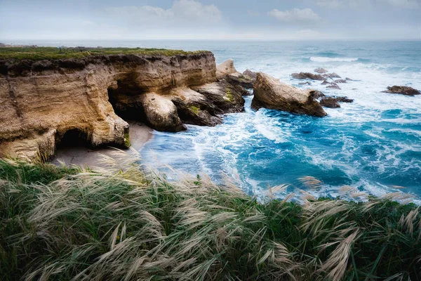Dramatyczny Krajobraz Wybrzeża Skaliste Klify Ocean Spokojny Rodzime Rośliny Plaży — Zdjęcie stockowe