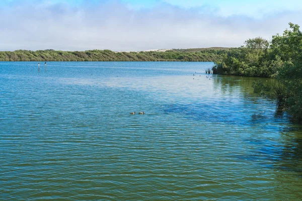 Tranquilo Lago Tranquilo Oso Flaco Lake Área Natural California Paisaje — Foto de Stock