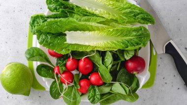 Romaine marulu, bebek ıspanağı, turp ve limon. Limonlu zeytinyağı soslu yeşil salata..