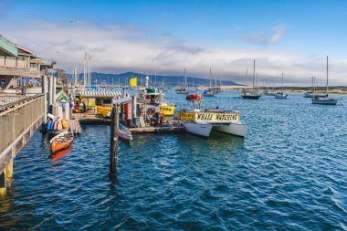 Morro Körfezi, Kaliforniya, ABD - 27 Mayıs 2023. Tekne kiralama, Wale Wing, Kayak kiralama, Morro Bay 'de kano kiralama. Sualtı Turları - Körfez gezisi suyun üstünde ve suyun altında sunuluyor.