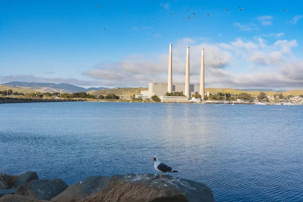 stock image Morro Bay, California, USA - May 27, 2021  Rocky beach and old power plants whose three large smokestacks can be seen from anywhere in Morro Bay. Morro Bay State Park, California Central Coast