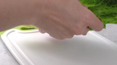 Bahar salatası tarifi. Marul, ıspanak ve turpu karıştırıyorum. Yakın çekim hazırlık süreci, tarif