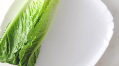 Romaine marulu, bebek ıspanağı, turp ve limon. Limonlu zeytinyağı soslu yeşil salata..