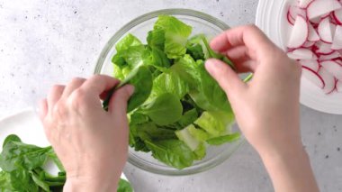 Bahar salatası tarifi. Marul, ıspanak ve turpu karıştırıyorum. Yakın çekim hazırlık süreci, tarif, yukarıdan görünüm