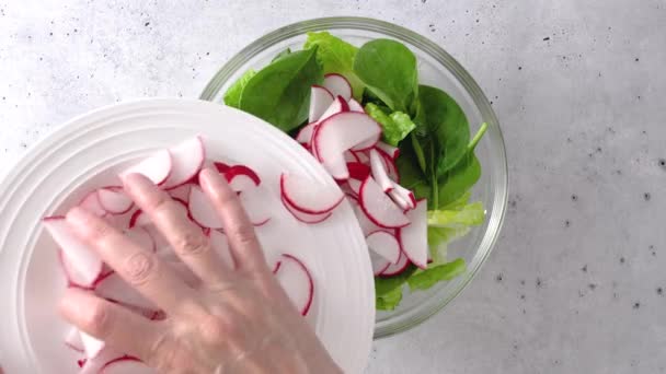 春天在玻璃碗里搅拌沙拉 罗曼式生菜 新鲜萝卜片 放在厨房桌子上 平铺着 — 图库视频影像