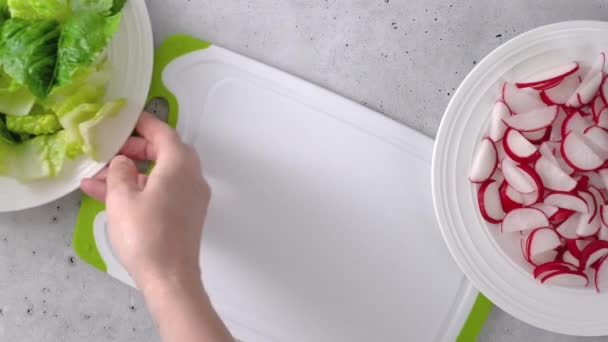 Bahar Salatası Tarifi Marul Ispanak Turpu Karıştırıyorum Yakın Çekim Hazırlık — Stok video