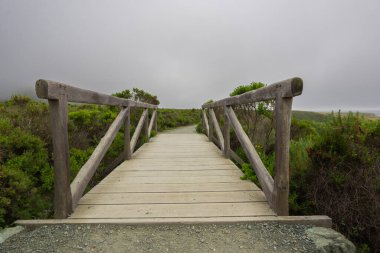 Montana de Oro Eyalet Parkı 'nda yürüyüş parkı, Kaliforniya kıyısı.
