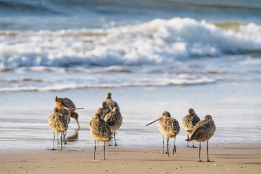 Günbatımında sahilde mermer bir tanrı, arka planda fırtınalı Pasifik Okyanusu, Kaliforniya Merkez Sahili