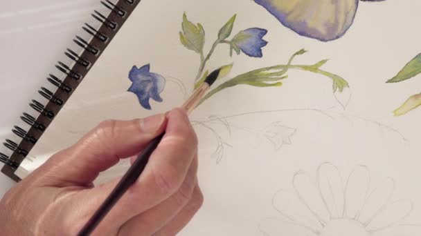 Malowanie Akwarelami Kobieta Rysuje Szkice Akwarelowe Kwiatów Widok Bliska Góry — Wideo stockowe