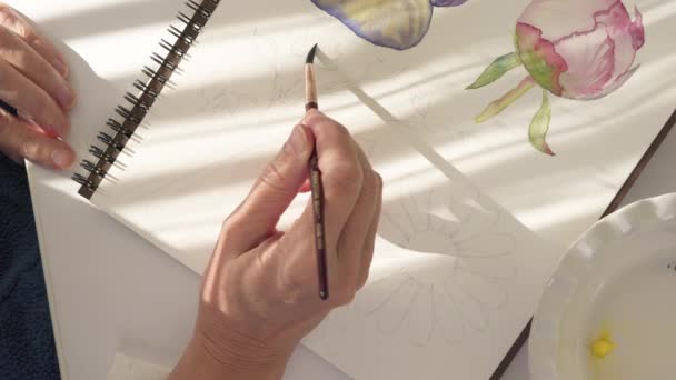 Aquarellmalerei Pinsel Und Papier Großaufnahme Auf Einem Tisch Hellen Sonnenlicht — Stockvideo
