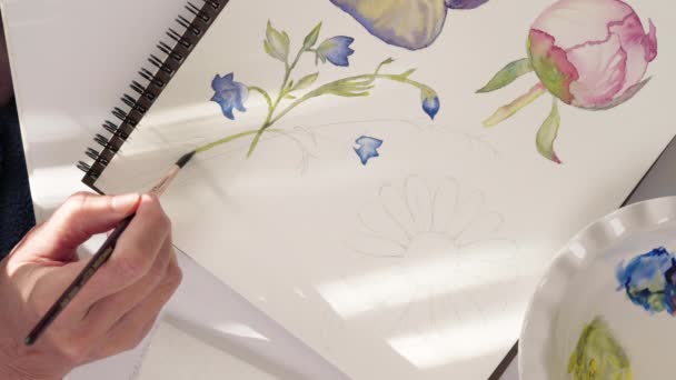 Akvarellmålning Akvarell Skiss Blommor Närbild Ovanifrån — Stockvideo