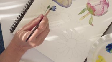 Suluboya resim, çiçek çizimi, yakın çekim videosu. Sanat, çizim öğrenme, hobi konsepti