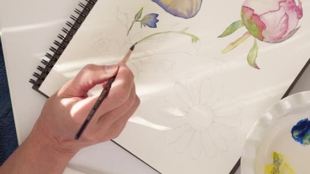水彩画 绘画花卉 特写视频 业余爱好概念 — 图库视频影像