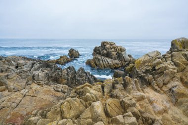 Dalgalar deniz kıyısındaki kayalara vuruyor, Monterey Körfezi, Kaliforniya