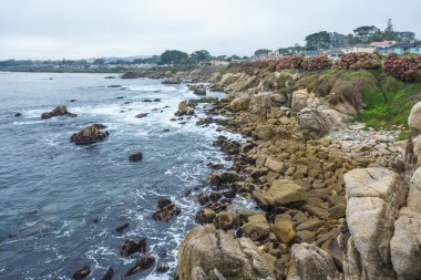 Monterey Körfezi. Güzel kayalık plaj, ve güzel Pasifik okyanusu bulutlu bir günde