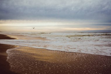 Dramatik deniz manzarası. Pasifik Okyanusu üzerinde gün batımı, arka planda bulutlu gökyüzü, metin için kopyalama alanı