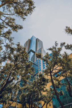 Şehir silüeti ve güzel ağaç, arka planda bulutlu bir gökyüzü, düşük açı görünümü, kopyalama alanı, dikey pankart