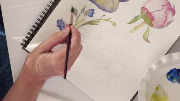 Акварель Женщина Рисует Акварельные Наброски Цветов Вид Сверху Крупным Планом — стоковое видео