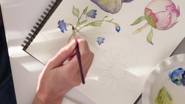 Malowanie Akwarelami Szkic Akwarelowy Kwiatów Widok Bliska Góry — Wideo stockowe