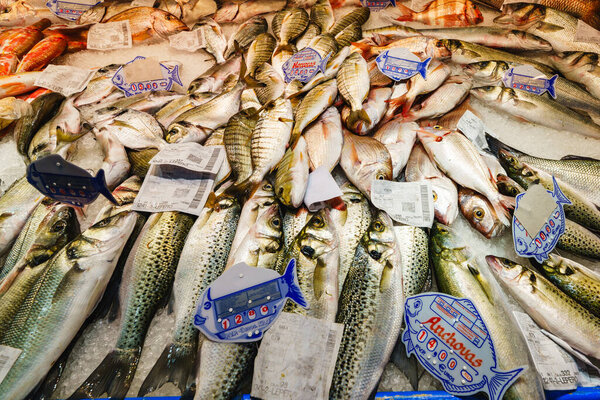 Huelva, Spain - January 11, 2024. Seafood market, brimming with an array of fresh fish, squid, shrimp, mollusks, and more, each displaying the bounty of the sea