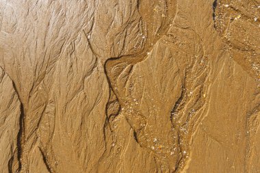 Islak kuma işlenmiş karmaşık desenler sahilde doğal bir duvar halısı oluşturur.