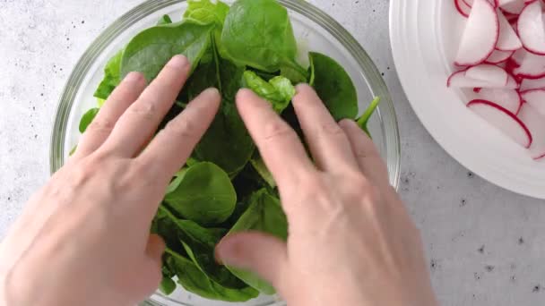 Frühlingssalat Einer Glasschüssel Mischen Romaine Salat Baby Spinat Und Frische — Stockvideo